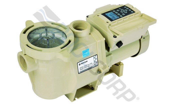 PUR-10-1019