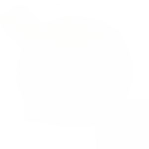 630017 WHITE QUICKNICHE, SEALING RING W/GASKET