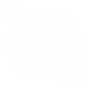 630044 GRY QUICKNICHE, SEAL RING