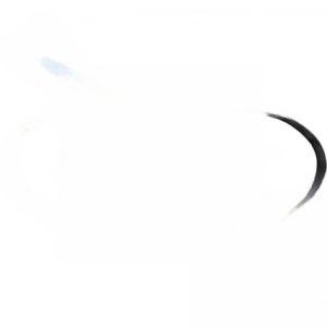 CX900F STARCLEAR PLUS, LID ORING
