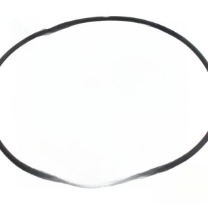 CXFHR1001 SWIMCLEAR, LID ORING